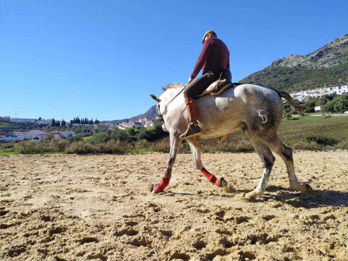 Apartamento Valle Del Guadiaro Cortes de la Frontera Eksteriør bilde